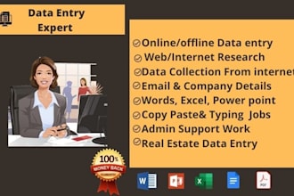 be your virtual assistant, data entry operator, data collector web researcher