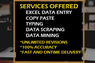 do excel data entry web scraping copy pasting and typing