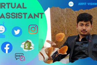 be your professional virtual assistant for business and social media management