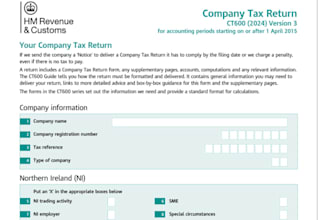 prepare UK statutory accounts and corporation tax return ct600