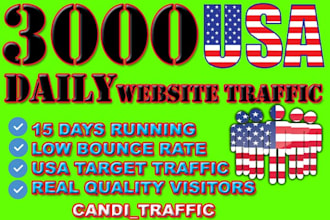 organic usa target website traffic visitors