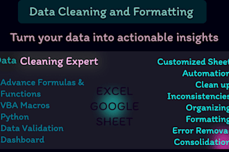 do data cleaning, data entry on ms excel, google sheet, csv