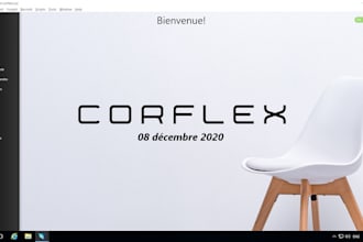 Top 5!  design or redesign filemaker layouts interface