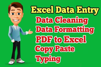 do microsoft excel data cleaning ,data entry work ,formula,google sheets expert