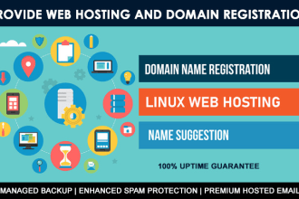 provide web hosting and domain registration