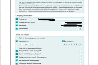 prepare and file UK company accounts and corporation tax returns