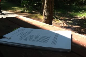 deliver a feature, theater, or TV pilot screenplay