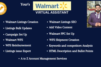expert walmart listing creation, optimization, wfs setup PPC campaign management