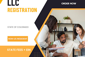 form US llc company for non USA residents