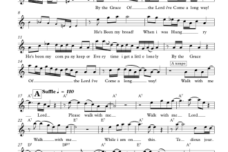 make chord charts, transcription and lead sheets