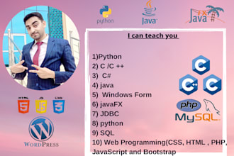 teach python, java, cpp,c sharp, c, r, web programming tutor