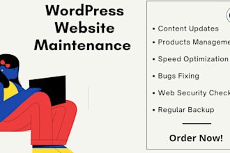 do website maintenance in wordpress on monthly basis