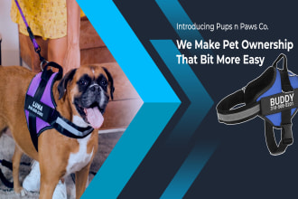 design an attractive shopify store banner or website banner