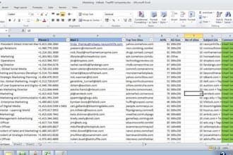 do excel data entry, copy paste, typing, data entry
