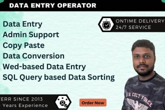 be your virtual assistant for data entry,copy paste, typing
