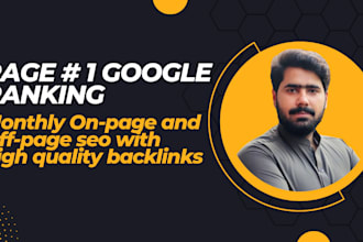 provide monthly website onpage and offpage SEO optimization