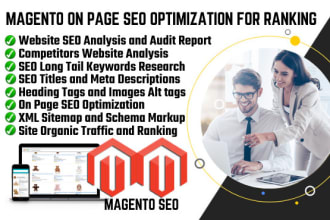 do magento onpage SEO optimization, product tags and alt tags