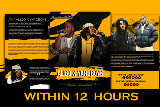 design professional press kit,media kit,epk with clickable links