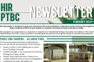design a newsletter, email graphic, brochure, etc