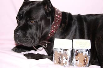 suggest your business to my 700 dog loving Facebook friends