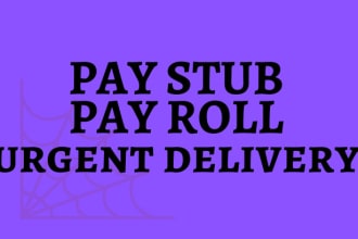 design paystub and checkstubs for employees and contractor