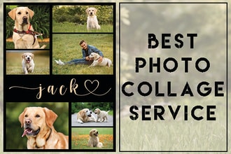 make a photo collage and custom shape collage