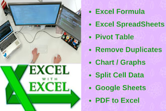 be your microsoft excel and google sheets, expert