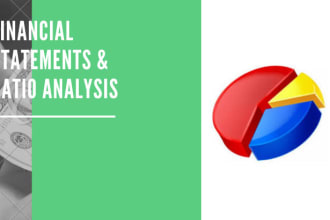 prepare financial statements and ratio analysis