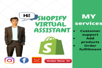 be your shopify virtual assistant