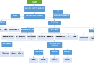 do your organizational charts and flowcharts in visio less than 24 hrs