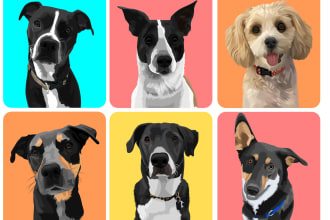 draw your cat, dog, or any pet into cartoon vector portrait