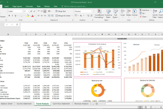 do financial analysis, modelling, business valuations and investment appraisals