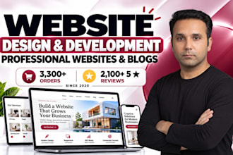 design and develop a professional wordpress website and blog