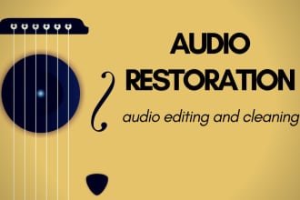 professionally clean up, edit, remove noise and mix your audio file 12 hours