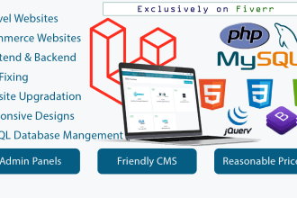 develop, fix bugs and upgrade laravel websites