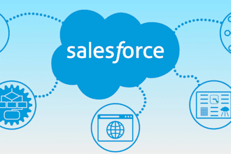 integrate apis and third party apps with salesforce