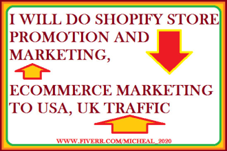 do shopify store promotion, market ecommerce,ebay,etsy to usa,traffic