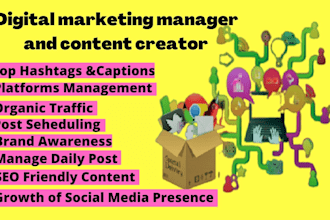 be digital marketing manager and content creator for your business