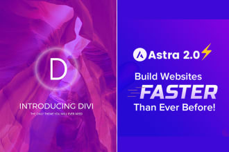 design wordpress website using divi or astra theme