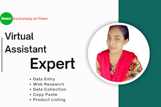 be your long term virtual assistant for data entry works