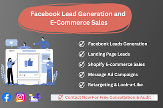 do shopify ads and facebook lead generation for any niche