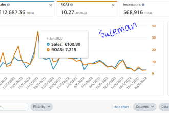 setup amazon ppc campaign, amazon ppc optimization, amazon ppc managment