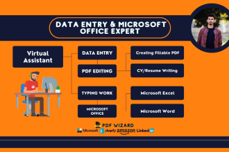 be your fast assistant for data mining, data entry, copy paste and web research