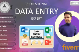clean, organize, format, copy paste, type excel or CSV data