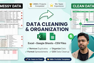 clean, organize and format excel, CSV or google sheets data