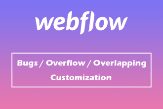 fix your webflow bugs and problems