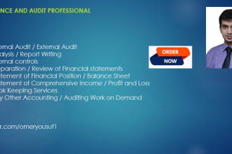 do internal and external audit, and financial statements