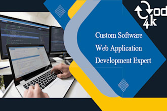 custom software and web application development expert