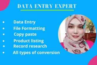 do excel and google sheet data entry,copy paste,pdf to excel