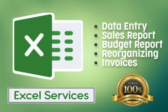 do work on excel spreadsheet, create invoices, pages, reports